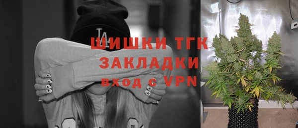 ешки Медногорск