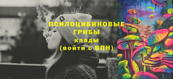 ешки Медногорск
