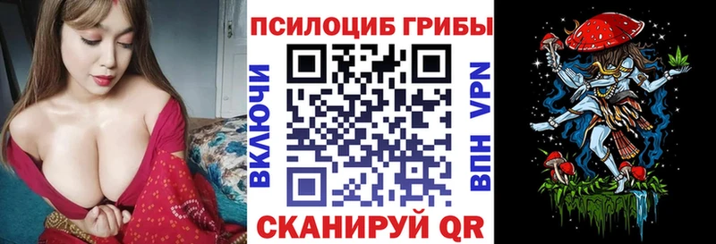 Псилоцибиновые грибы мухоморы  Купить закладки  Моздок 